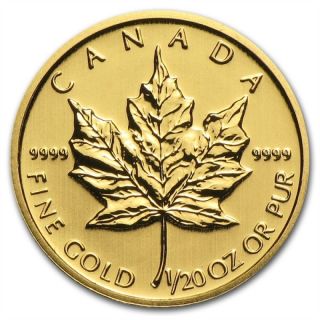 1/20 Oz Random Year Gold (canada) Canadian Maple Leaf $1 Bu photo