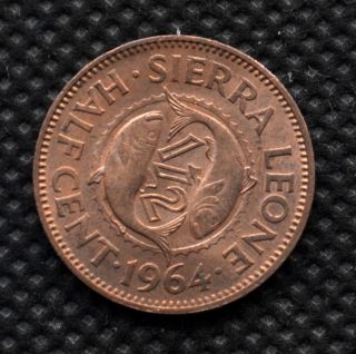 Sierra Leone 0.  5 Cent（1/2) 1964.  Km16.  African Coin. photo