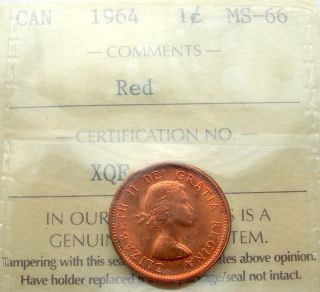 1964 Small Cent Iccs Certified Ms - 66 Red Gem,  Stunning Canada Rare Grade Penny photo