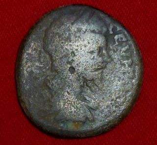Roman Ancient Coin - Septimius Severus - Thrace Pautalia Circa 193 - 211 Ad - 1838 photo