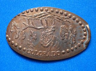 Colorado Elongated Penny Co Usa Cent Centennial State 1876 Souvenir Coin Elk photo