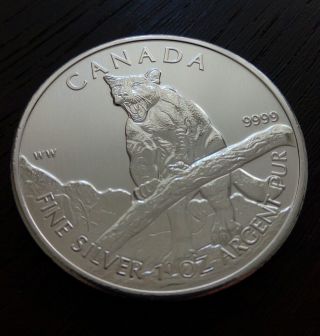 1 Oz.  9999 Silver 2012 Canada Cougar Wild Life Series Bullion Coin From Tube photo