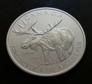 2012 Canada Moose Wild Life Series 1 Oz.  9999 Silver Bullion Coin From Tube photo