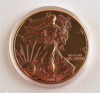 2004 Gold Overlay American Eagle 1oz Silver Bullion Coin photo