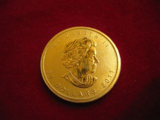 Canadian “$ 50” 2011 Maple Leaf 24k Gold Coin One Ounce.  9999 Pure - photo