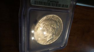 1923 Peace Silver Dollar Icg Ms64 photo