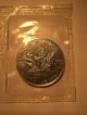 1991 Canada $5 Maple Leaf 1 Oz.  Silver Bullion.  9999 Fine Rcm Proof - Like Coins: Canada photo 4