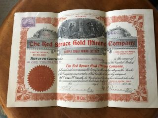 3 Stock Certificates1901 Red Spruce Gold Mining Co Cripple Creek Mining District photo