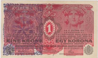 Consiglio Nazionale Citta Di Fiume - 1 Krone 1916 Austria Croatia Banknote - Unc photo