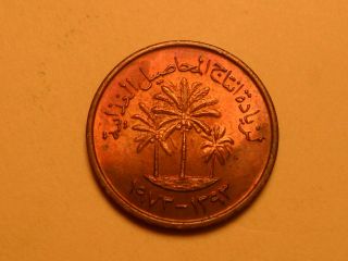 1973 Rainbow Toned Copper 1 Fils (ah1373) Palm Tree Uae Coin photo
