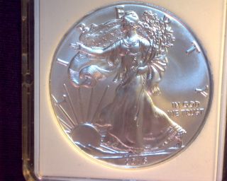 2016 Silver Eagle Coin photo