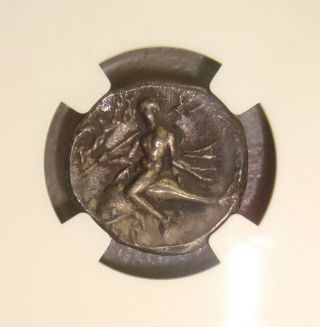 281 - 240 Bc Calabria,  Taras Ancient Greek Silver Didrachm Ngc Choice Xf 4/5 2/5 photo