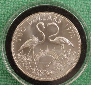 1972 Bahamas Bu Two Dollar Sterling Silver Flamingo Coin In Airtite photo