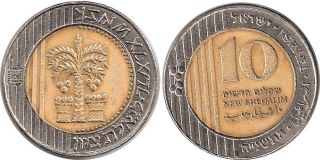 Israeli Coin Ten 10 Shekel Ils Israel Money Official Sheqalim Bronze Nis photo