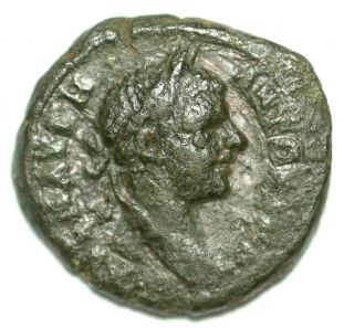 Roman Provincial Bronze Coin Caracalla Coiled Serpent Nikopolis Ae16 photo