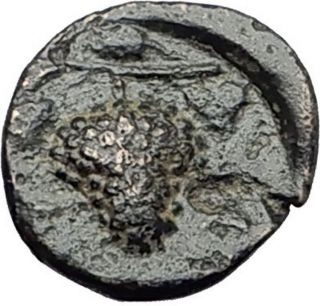 Temnos In Aeolis 350bc Dionysus Grapes Rare Authentic Ancient Greek Coin I60922 photo