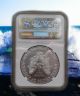 2016 American Eagle Ngc Ms69 Brown Label Coins photo 1