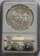 2016 American Eagle 1 Oz Silver Ngc Ms70 Early Release Eagle 30th Anniversary Silver photo 1