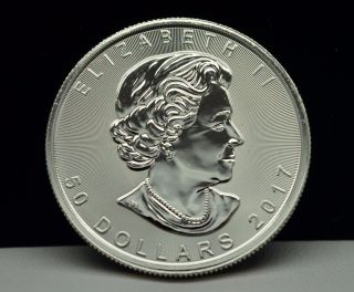2017 $50 Canada Platinum Maple Leaf 1 Troy Oz.  9995 Fine Platinum Coin photo
