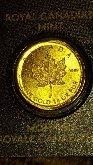 1 Gram Gold Round Royal Canadian Maple Leaf 9999 Fineness A0504196 photo