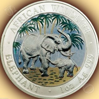 2007 Somalia African Wildlife Colorized Elephant Silver Coin Hard Date To Find photo