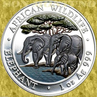 2013 Somalia African Wildlife Elephant 1 Oz Colored Silver Coin Only 5000 Minted photo
