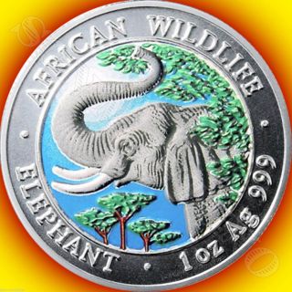2005 Somalia African Wildlife Colorized Elephant Silver Coin Hard Date To Find photo