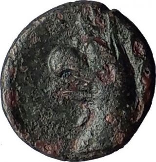 Phokaia In Ionia 350bc Nymph Griffin Authentic Ancient Greek Coin I59678 photo