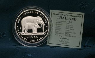 Thailand 200 Baht 1998 Silver Proof Coin Thai Rama Ix World Wildlife Elephant photo