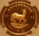 South Africa 1979 Gold 1 Oz Krugerrand Ngc Pf - 69uc Coins: World photo 2