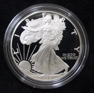 1996 American Silver Eagle Proof And Great Gift photo