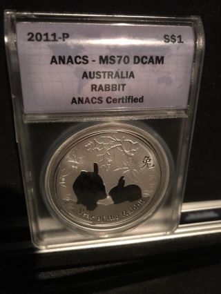 2011 - P Anacs Ms70 Dcam Australia Rabbit 1oz Fine Silver Coin photo