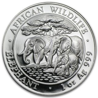 2013 Somalia African Wildlife Elephant 1 Oz.  999 Silver Air - Tite Capsule photo