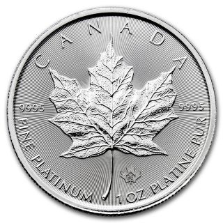 2017 Canada 1 Oz Platinum Maple Leaf Bu photo