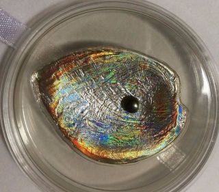 Hologram Oyster Shell Pearl: Ii Haliotis Iris - Palau 2012 $5 Silver Coin photo