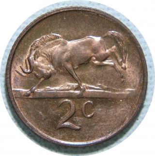 South Africa 2 Cents 1977 Bronze Km 83 High Details C80 photo