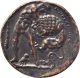 Lucania Imitation Brass Nomos Coin Athena/herakleia 420 - 390 Bc Extra Fine Xf Coins: Ancient photo 1