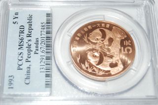 1993 China Panda C5y Pcgs Ms67 Rd Copper Coin photo